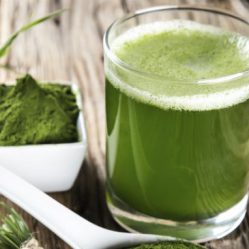 Spiruline, l’algue précieuse